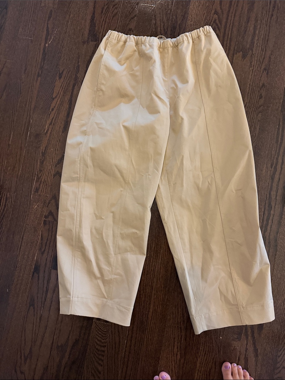 Aritzia barrel pants
